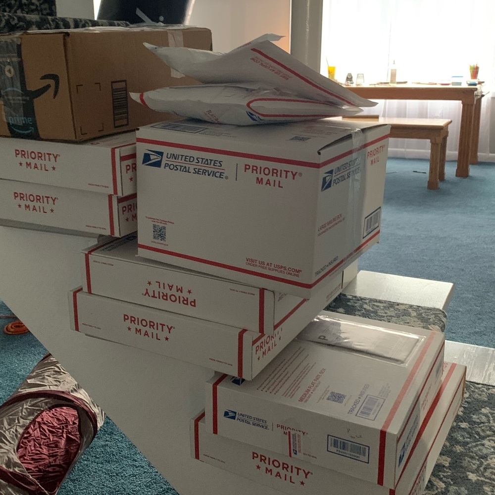 $10 Mystery Box Resellers Grab Bag Sale Clearance - Picture 2 of 8